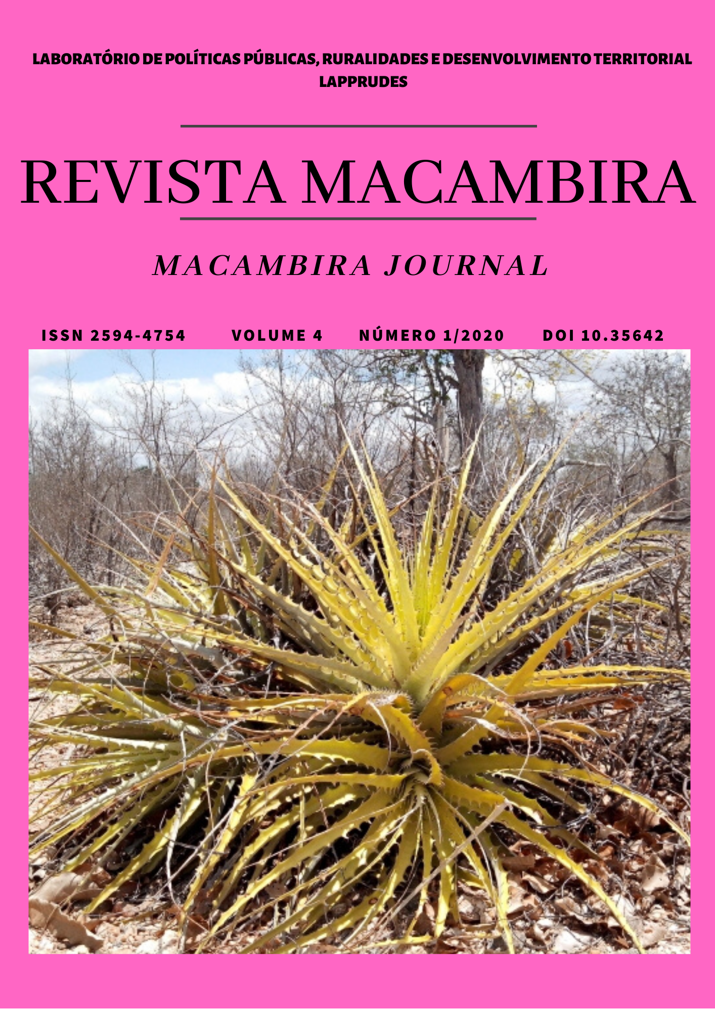 					View Vol. 4 No. 1 (2020): Revista Macambira
				
