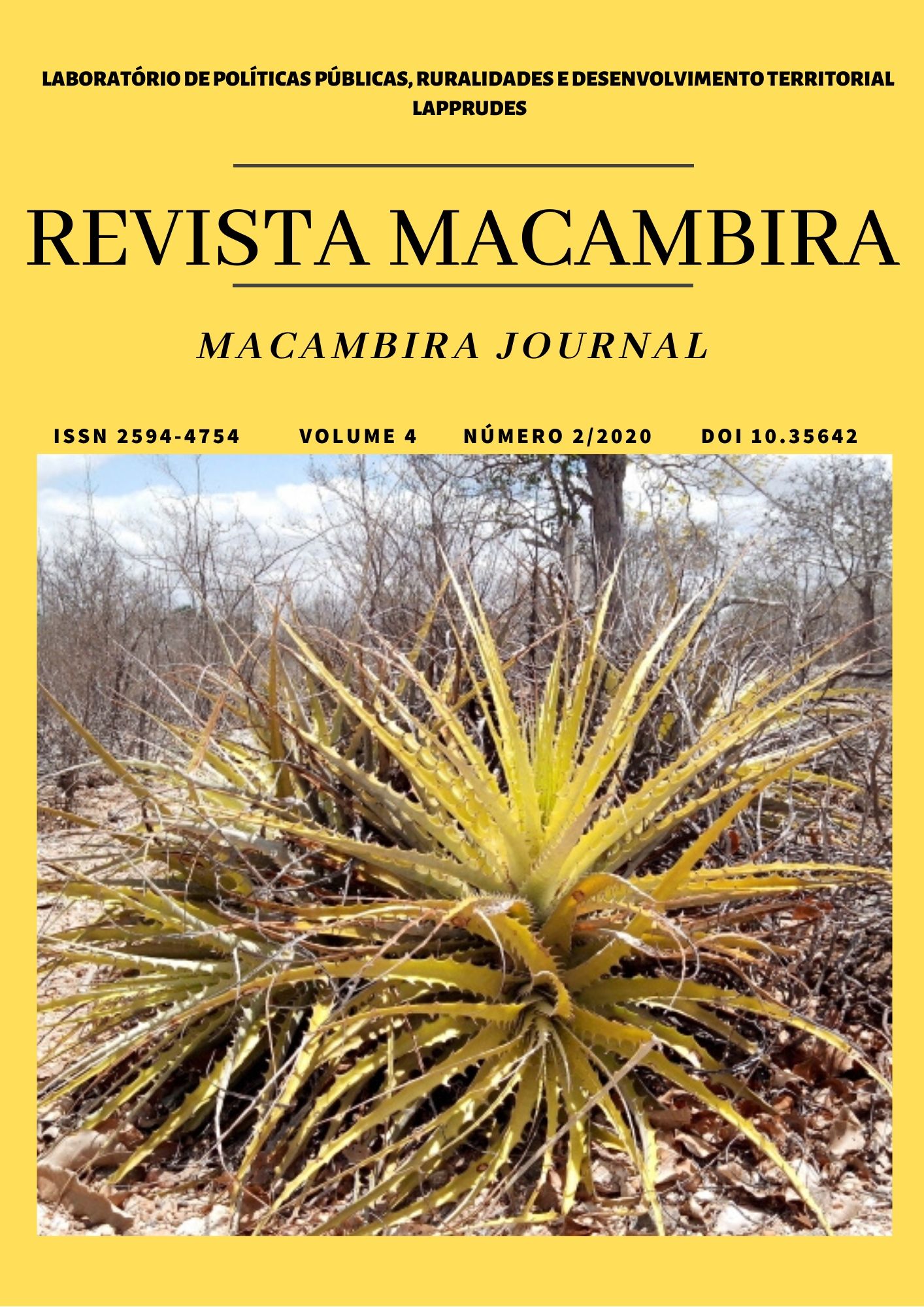 					View Vol. 4 No. 2 (2020): Revista Macambira
				