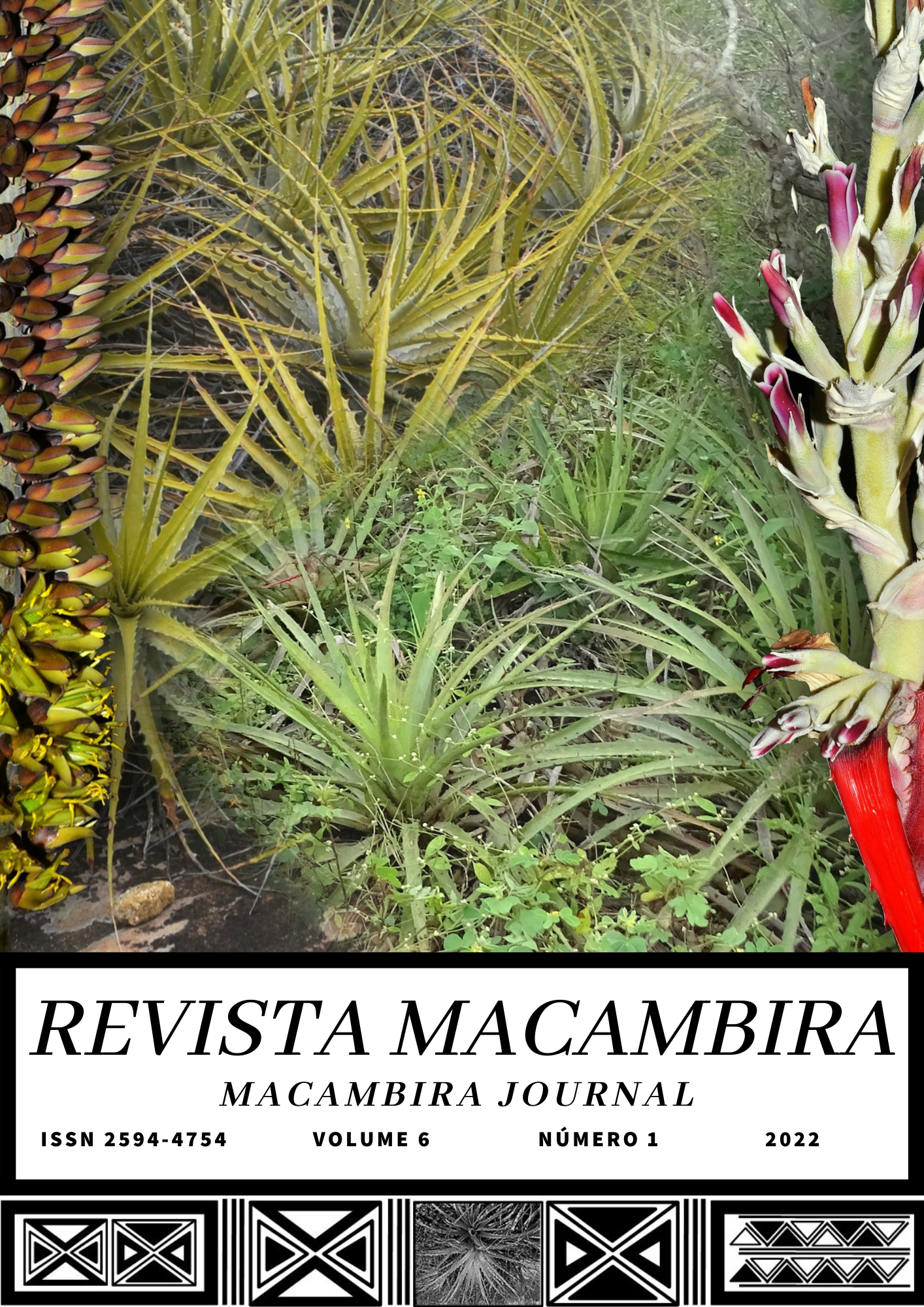 					View Vol. 6 No. 1 (2022): Revista Macambira
				