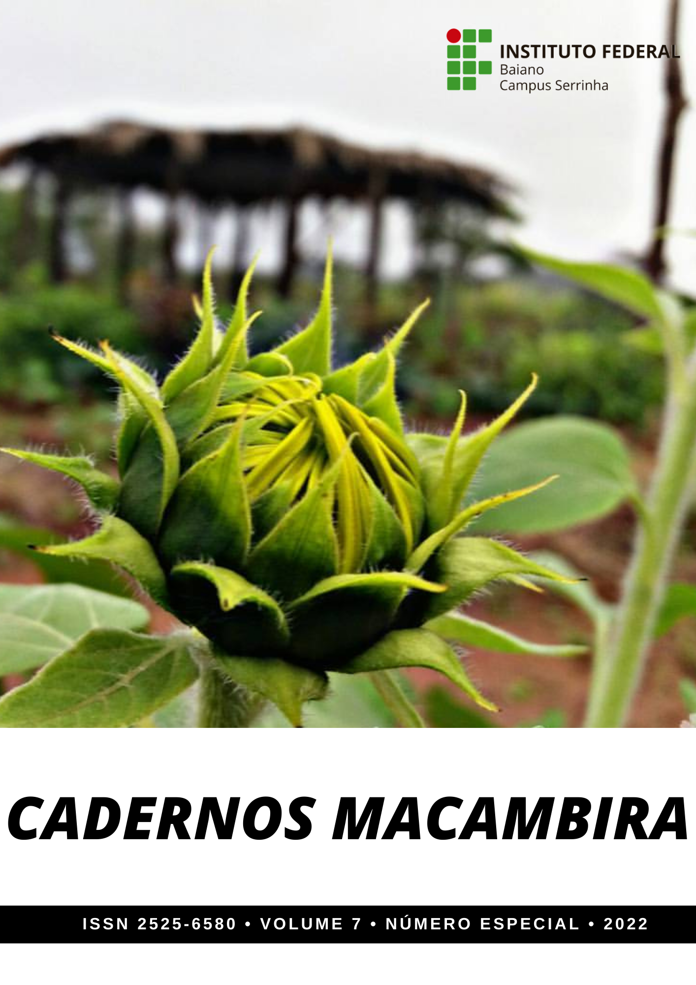 					View Vol. 7 No. especial (2022): Cadernos Macambira
				